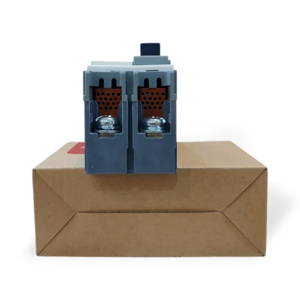 Kripal ABE 102 MCCB 125A 2 Pole 690V Molded Case Circuit Breaker 6  Electric Market Pakistan
