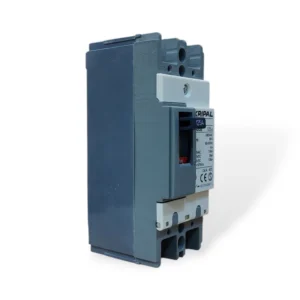 Kripal ABE-102 MCCB 125A - 2 Pole Molded Case Circuit Breaker, 690V-1