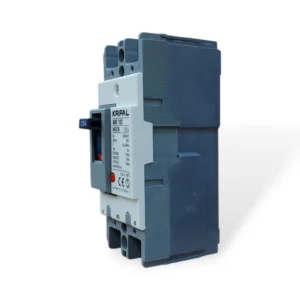 Kripal ABE-102 MCCB 125A - 2 Pole Molded Case Circuit Breaker, 690V-1