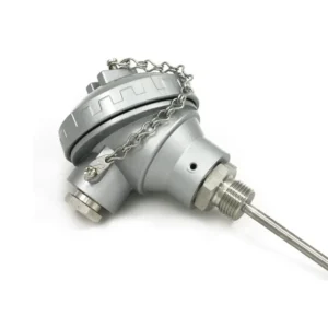 PT100 RTD Temperature Sensor with 6-inch Stainless Steel Probe | Connection Head | Up to 1200°C-1